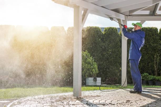 Best Animal Enclosure Cleaning  in Newark, NY
