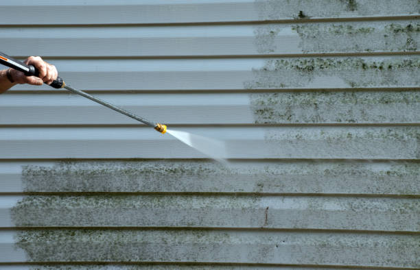 Best Building Exterior Washing  in Newark, NY
