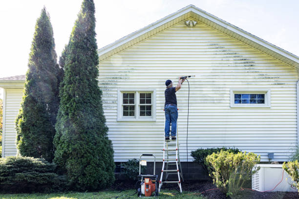 Best Fence Cleaning  in Newark, NY